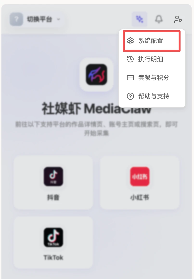 扩展右上角菜单 → 系统配置