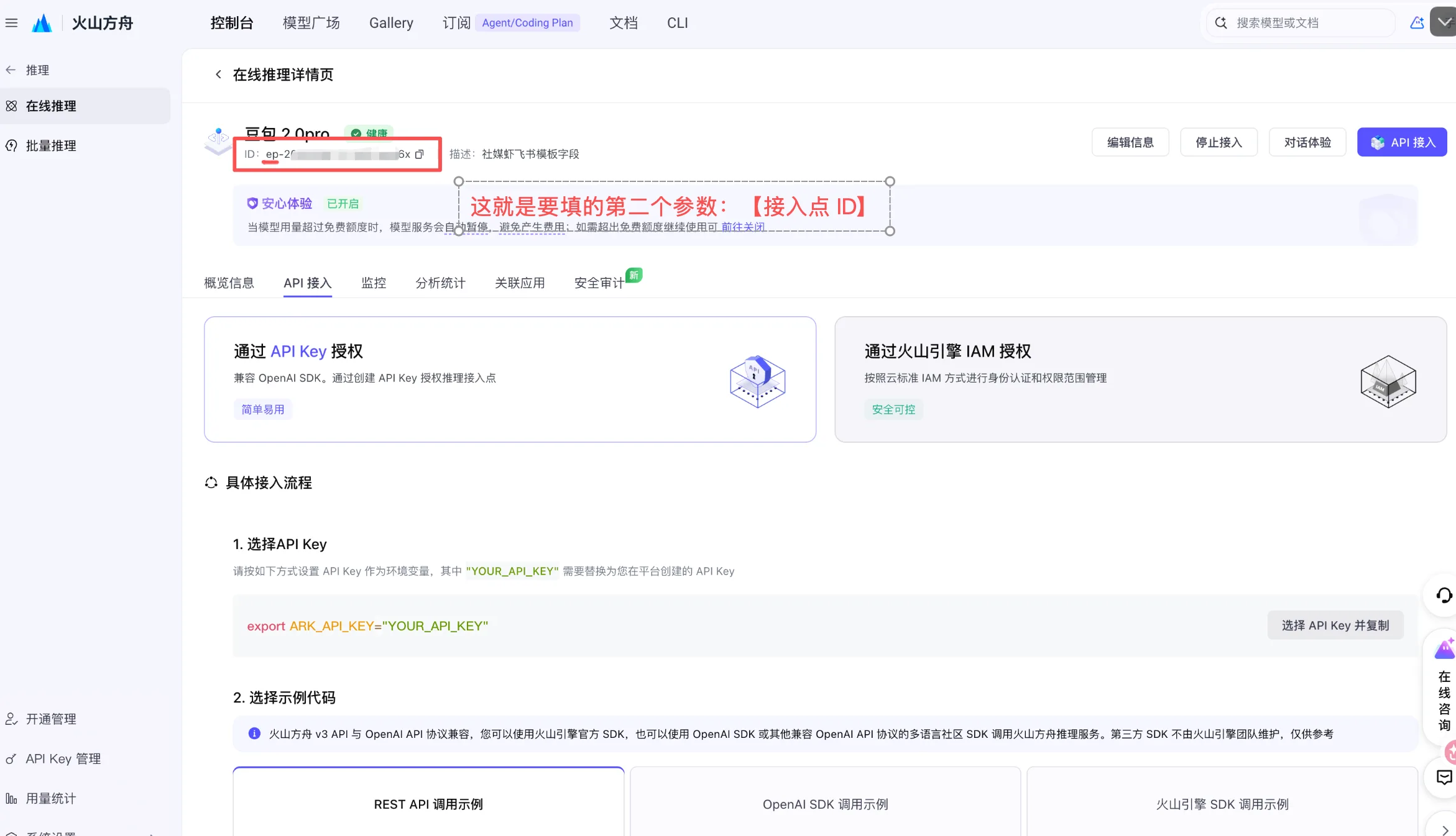 创建成功后进入接入点详情页，顶部的 ID（ep- 开头）就是要填的「接入点 ID」