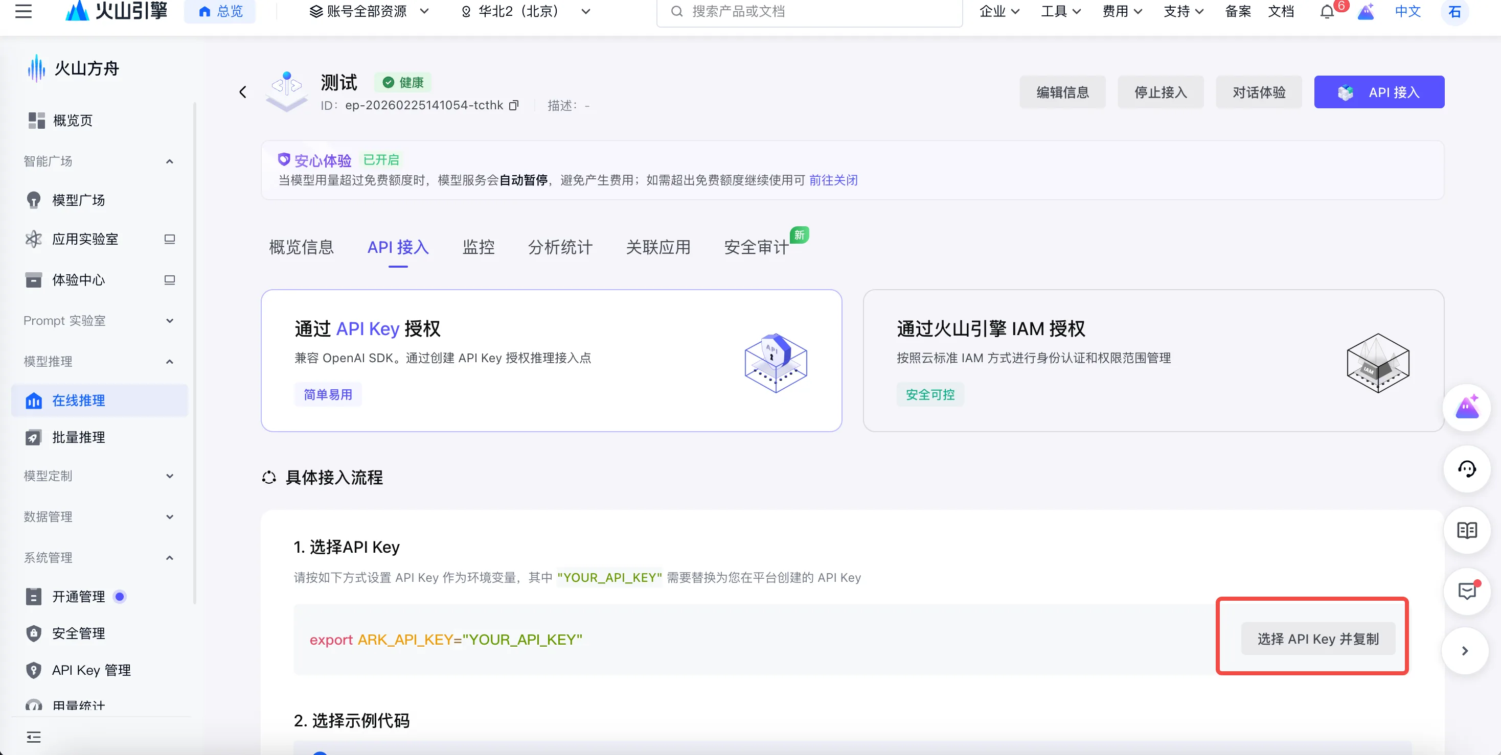API 接入 → 选择 API Key，点「选择 API Key 并复制」