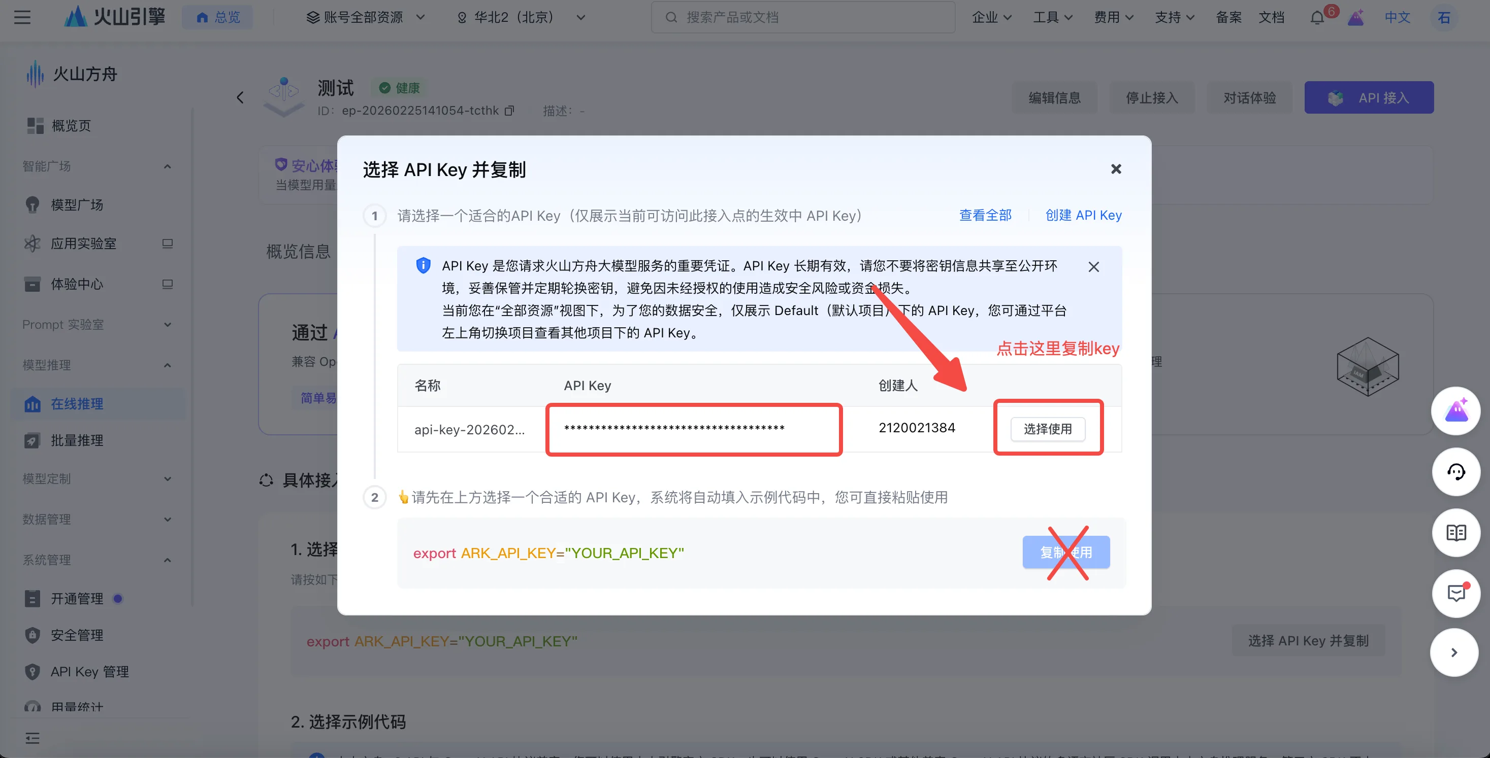 在弹窗里点某个 Key 的「选择使用」复制出 API Key